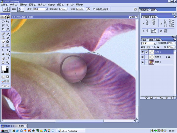 PHOTOSHOP花露