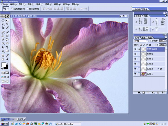 PHOTOSHOP花露