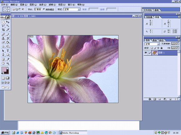 PHOTOSHOP花露